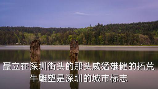 40多年前拓荒牛深圳特區，深圳的第一代打工者的精神是稱為孺子牛精神還是拓荒牛精神