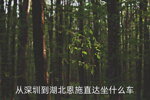從深圳到湖北恩施直達坐什么車