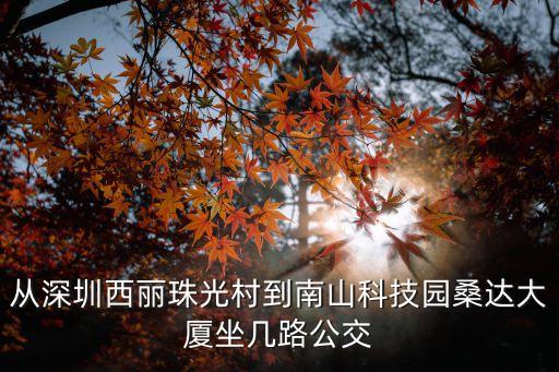 從深圳西麗珠光村到南山科技園桑達大廈坐幾路公交