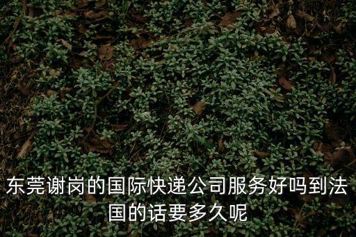 東莞謝崗的國際快遞公司服務好嗎到法國的話要多久呢