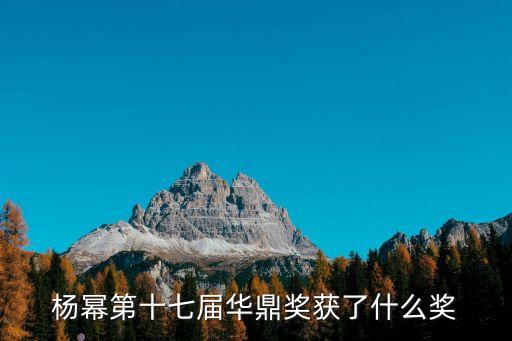 楊冪第十七屆華鼎獎獲了什么獎