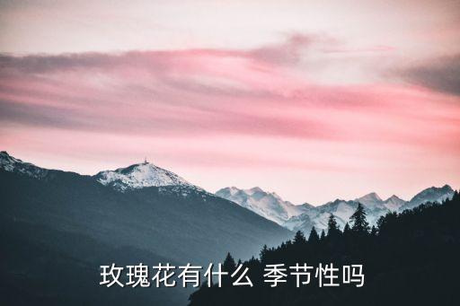 玫瑰花開的季節(jié)