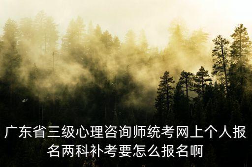 廣東省三級心理咨詢師統考網上個人報名兩科補考要怎么報名啊