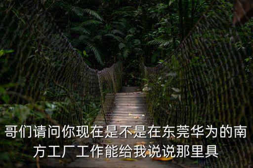 哥們請問你現在是不是在東莞華為的南方工廠工作能給我說說那里具