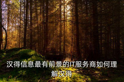 深圳漢得咨詢，漢得信息最有前景的IT服務商如何理解漢得
