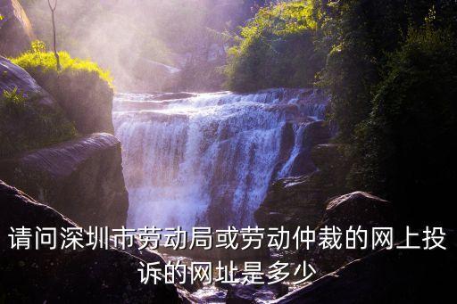 請問深圳市勞動局或勞動仲裁的網上投訴的網址是多少