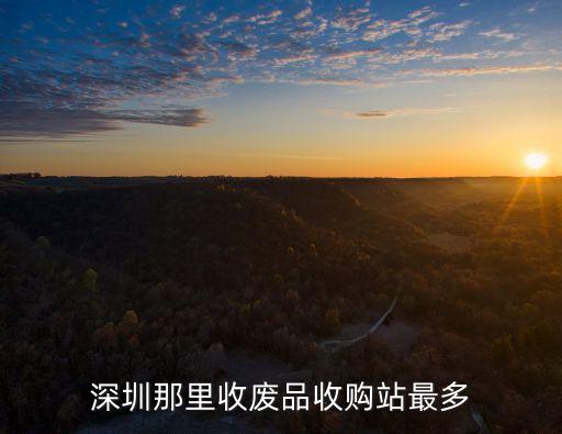 深圳現在有多少家廢品收購站，深圳市羅湖區清水河街道紅崗東村放假有木有廢品收購站