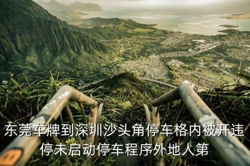 東莞車牌到深圳沙頭角停車格內被開違停未啟動停車程序外地人第