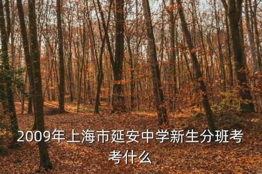 2009年上海市延安中學(xué)新生分班考考什么