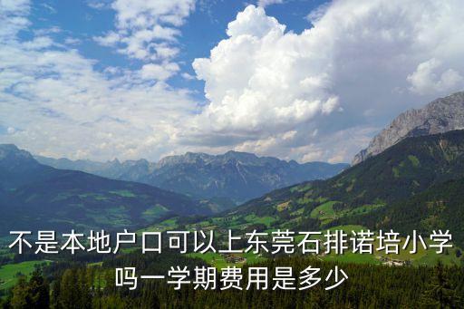 東莞石排諾培小學多少錢一學期，不是本地戶口可以上東莞石排諾培小學嗎一學期費用是多少