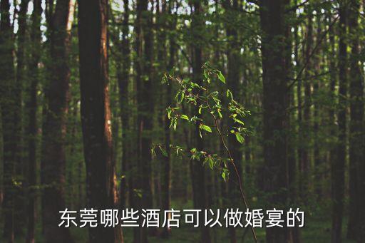 東莞哪些酒店可以做婚宴的