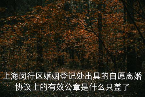 上海市閔行區(qū)檔案館公章，上海刻章上海閔行區(qū)刻章不要證明的哪里有最好當(dāng)面交易我有樣