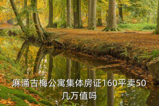廣東東莞麻涌古梅，麻涌古梅公寓集體房證160平賣50幾萬(wàn)值嗎