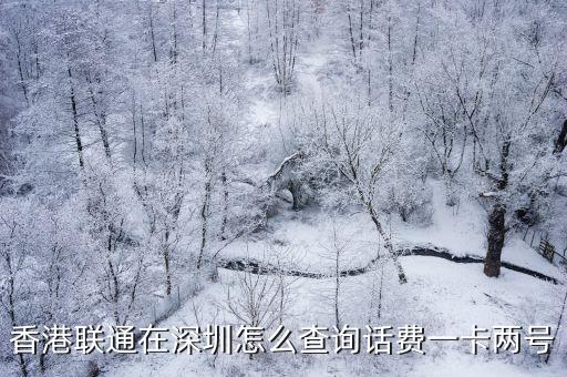 香港聯通在深圳怎么查詢話費一卡兩號