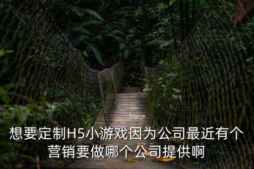 想要定制H5小游戲因為公司最近有個營銷要做哪個公司提供啊