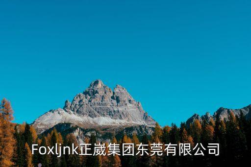 東莞正揚公司簡介，東莞正揚電子廠是做什么的