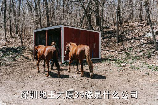 深圳商鼎集團，深圳小寶金融公司的企業介紹