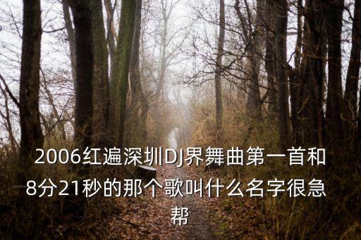 2006紅遍深圳DJ界舞曲第一首和8分21秒的那個歌叫什么名字很急 幫