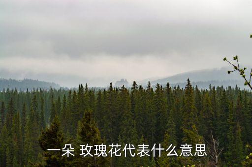  一朵 玫瑰花代表什么意思