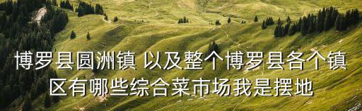 東莞園洲鎮規劃圖，博羅縣園洲鎮有甚么發展