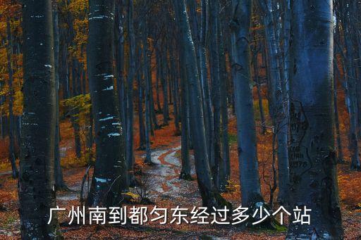 廣州南到都勻東經過多少個站