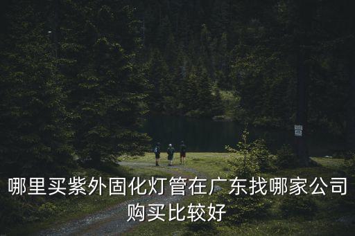 哪里買紫外固化燈管在廣東找哪家公司購買比較好