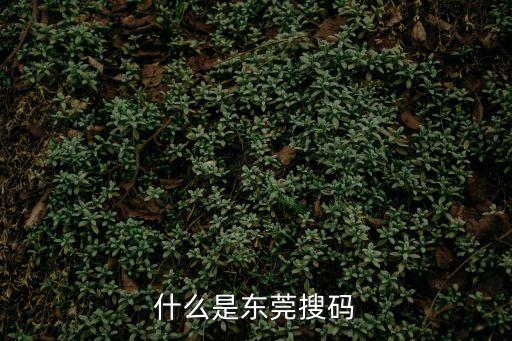 什么是東莞搜碼