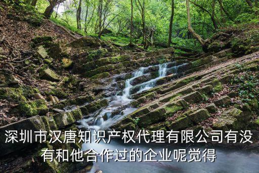 深圳市漢唐知識產權代理有限公司有沒有和他合作過的企業呢覺得
