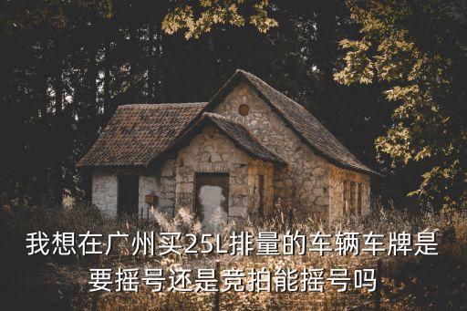 廣州 車牌 排量，我想在廣州買25L排量的車輛車牌是要搖號還是競拍能搖號嗎