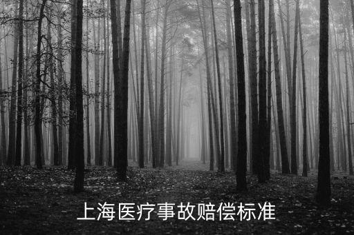 上海醫療事故賠償標準