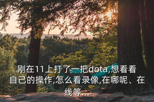 剛在11上打了一把dota,想看看自己的操作,怎么看錄像,在哪呢、在線等...