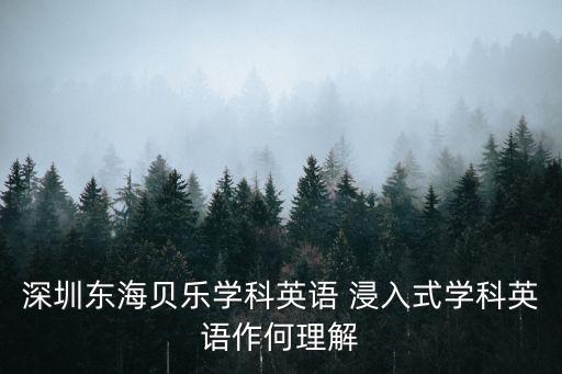 深圳 沉浸式 少兒英語，深圳少兒英語哪個(gè)好