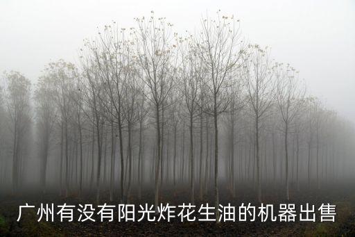 廣州有沒有陽光炸花生油的機器出售