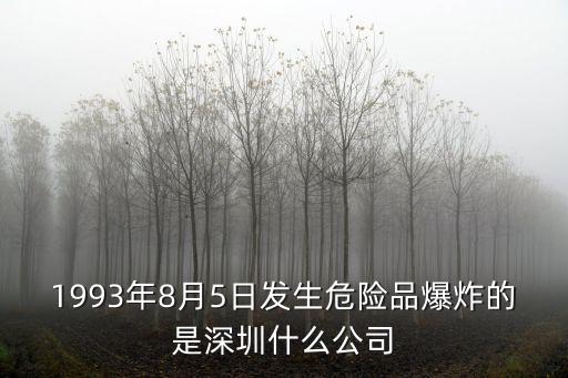 1993年8月5日發(fā)生危險品爆炸的是深圳什么公司