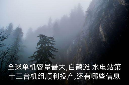 全球單機(jī)容量最大,白鶴灘 水電站第十三臺(tái)機(jī)組順利投產(chǎn),還有哪些信息