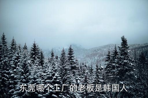 東莞哪個工廠的老板是韓國人