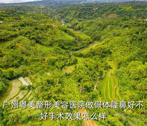 廣州利美康粵美整形，廣州粵美整形美容醫院做假體隆鼻好不好手術效果怎么樣