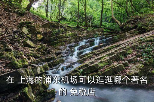 上海免稅店,上海機場境內有免稅店么?沒有!