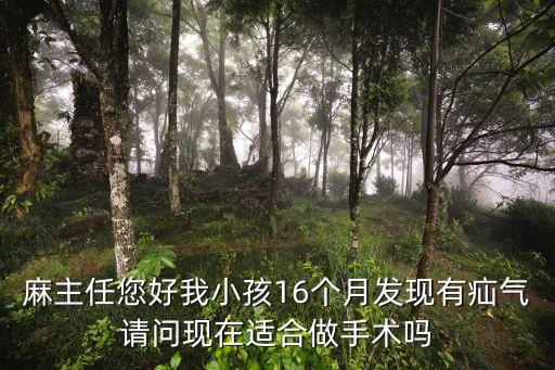 麻主任您好我小孩16個月發現有疝氣請問現在適合做手術嗎