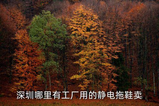 深圳哪里有工廠用的靜電拖鞋賣