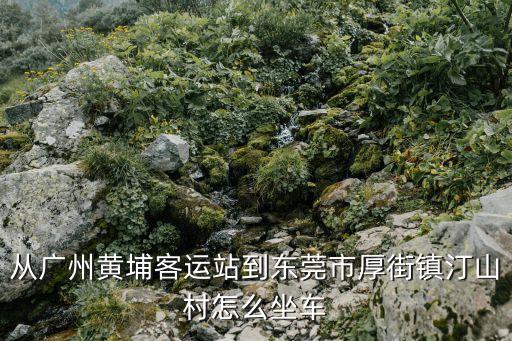 從廣州黃埔客運站到東莞市厚街鎮汀山村怎么坐車