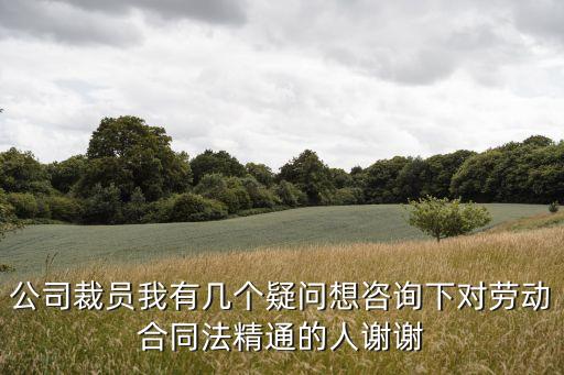 公司裁員我有幾個(gè)疑問想咨詢下對(duì)勞動(dòng)合同法精通的人謝謝