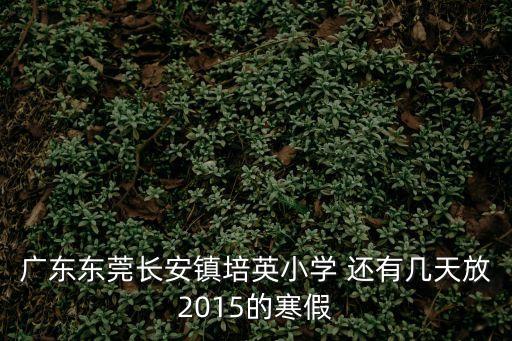 東莞市黃江鎮培英小學溺亡事故，廣東東莞長安鎮培英小學 還有幾天放2015的寒假