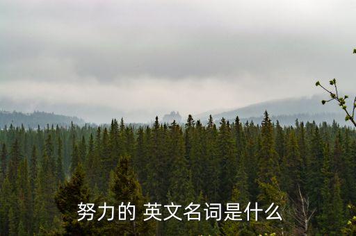 努力的英文單詞,努力的英文是什么?