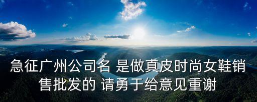 急征廣州公司名 是做真皮時尚女鞋銷售批發的 請勇于給意見重謝