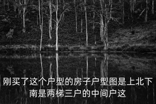 剛買了這個戶型的房子戶型圖是上北下南是兩梯三戶的中間戶這