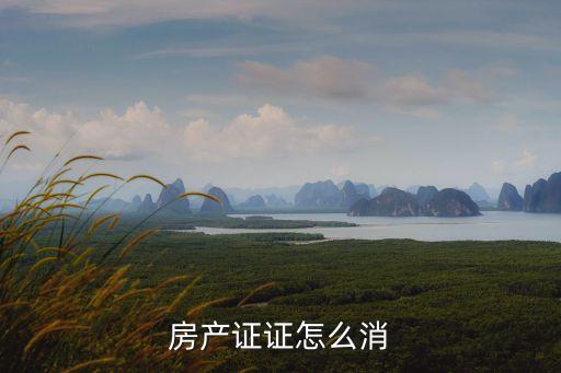房產(chǎn)證證怎么消