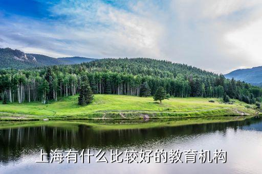 上海市教育部門有哪些，上海有什么比較好的教育機構