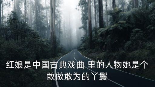廣州著名紅娘上過電視，紅娘是中國古典戲曲 里的人物她是個敢做敢為的丫鬟