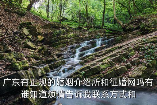 廣東有正規(guī)的婚姻介紹所和征婚網(wǎng)嗎有誰知道煩請告訴我聯(lián)系方式和